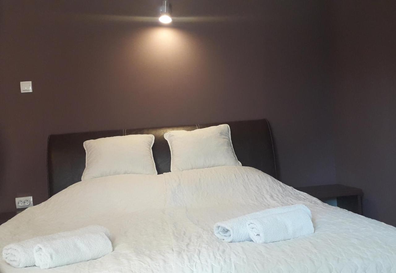 Apartament Vladana Deluxe App 2 Kruševac Zewnętrze zdjęcie